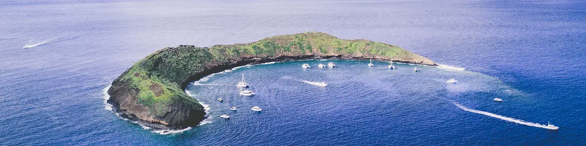 What to do in Maui