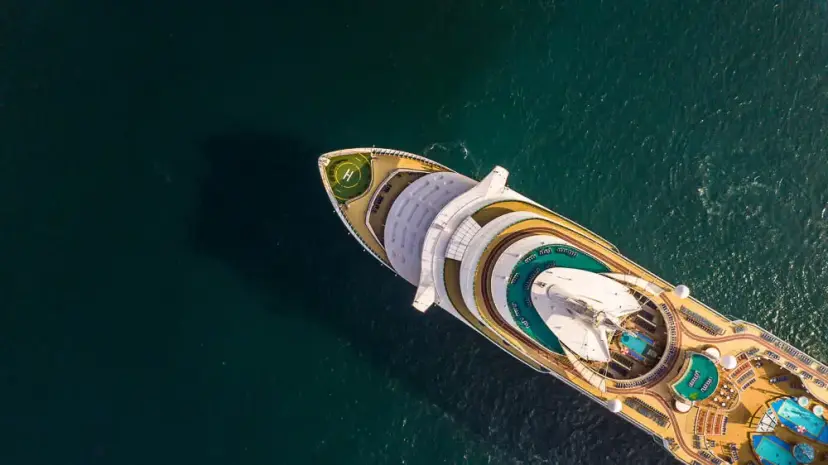 Cruise line commission and revenue