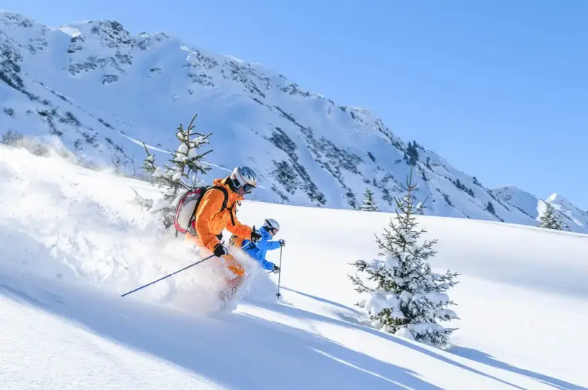 Ship ski gear with Luggage Forward