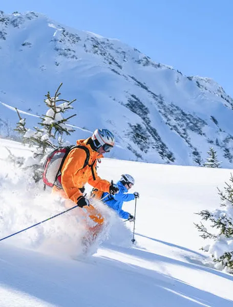 Ship ski gear with Luggage Forward