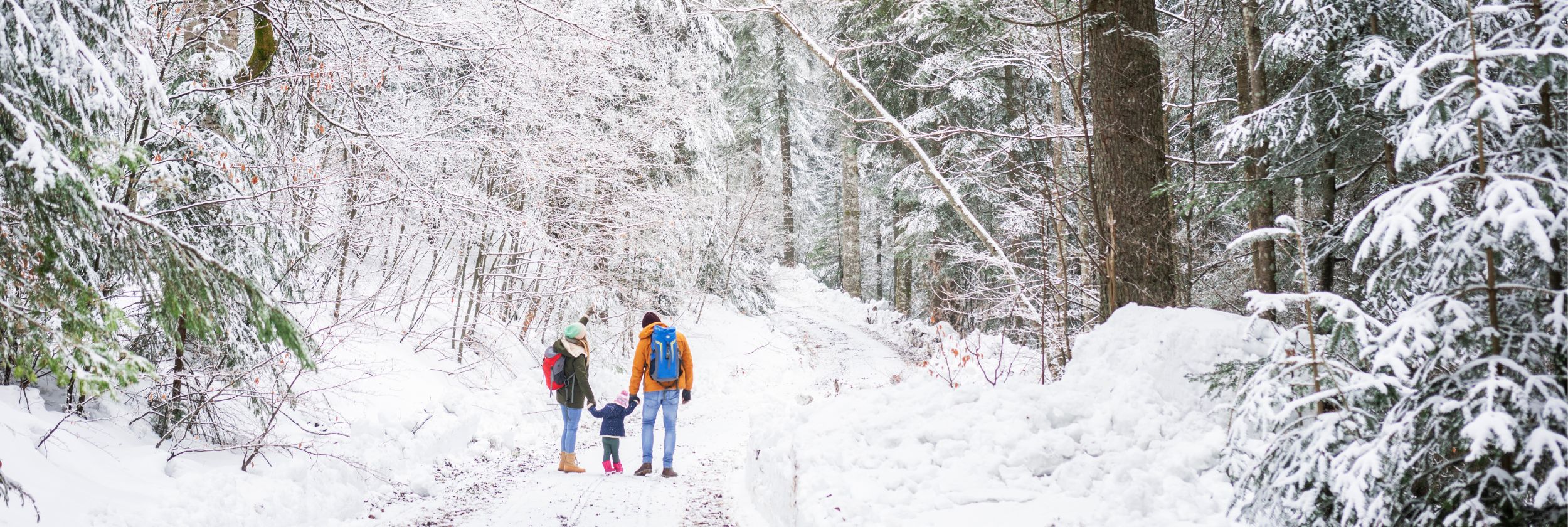 winter break travel