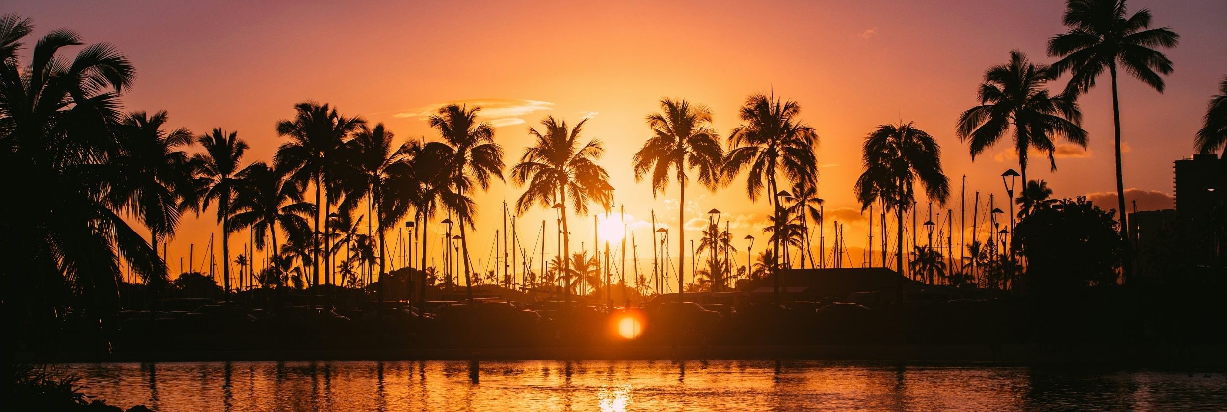 The White Lotus Effect